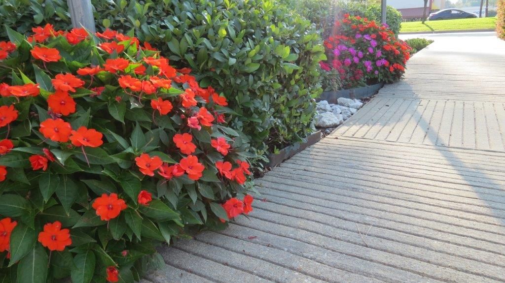Number One Lawn Service and Landscaping in Beaumont Texas