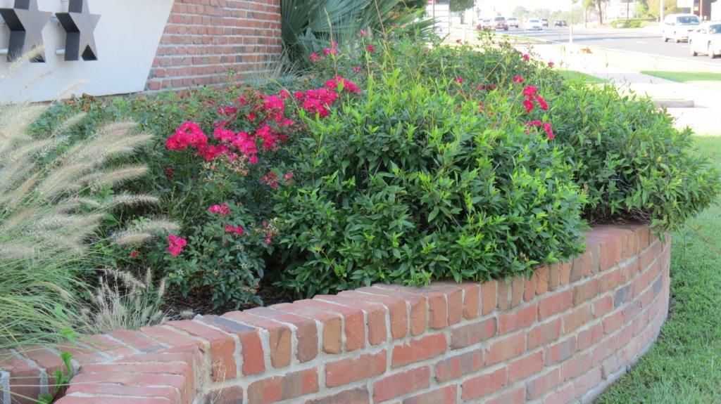 Stonework, brickwork - Number One Lawn Service