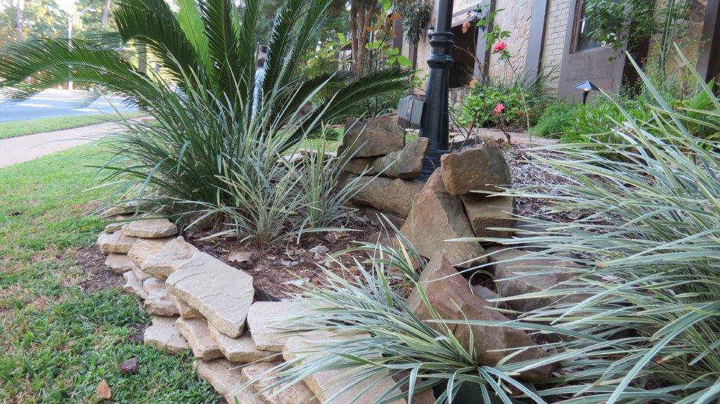 Number One Lawn Service and Landscaping in Beaumont Texas