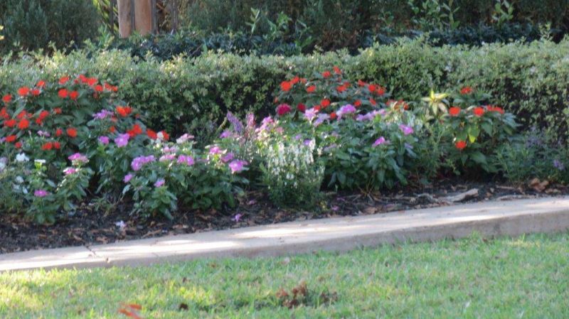 Number One Lawn Service and Landscaping in Beaumont Texas