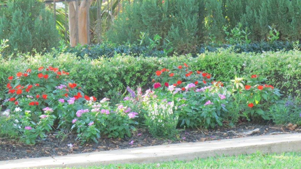 Number One Lawn Service and Landscaping