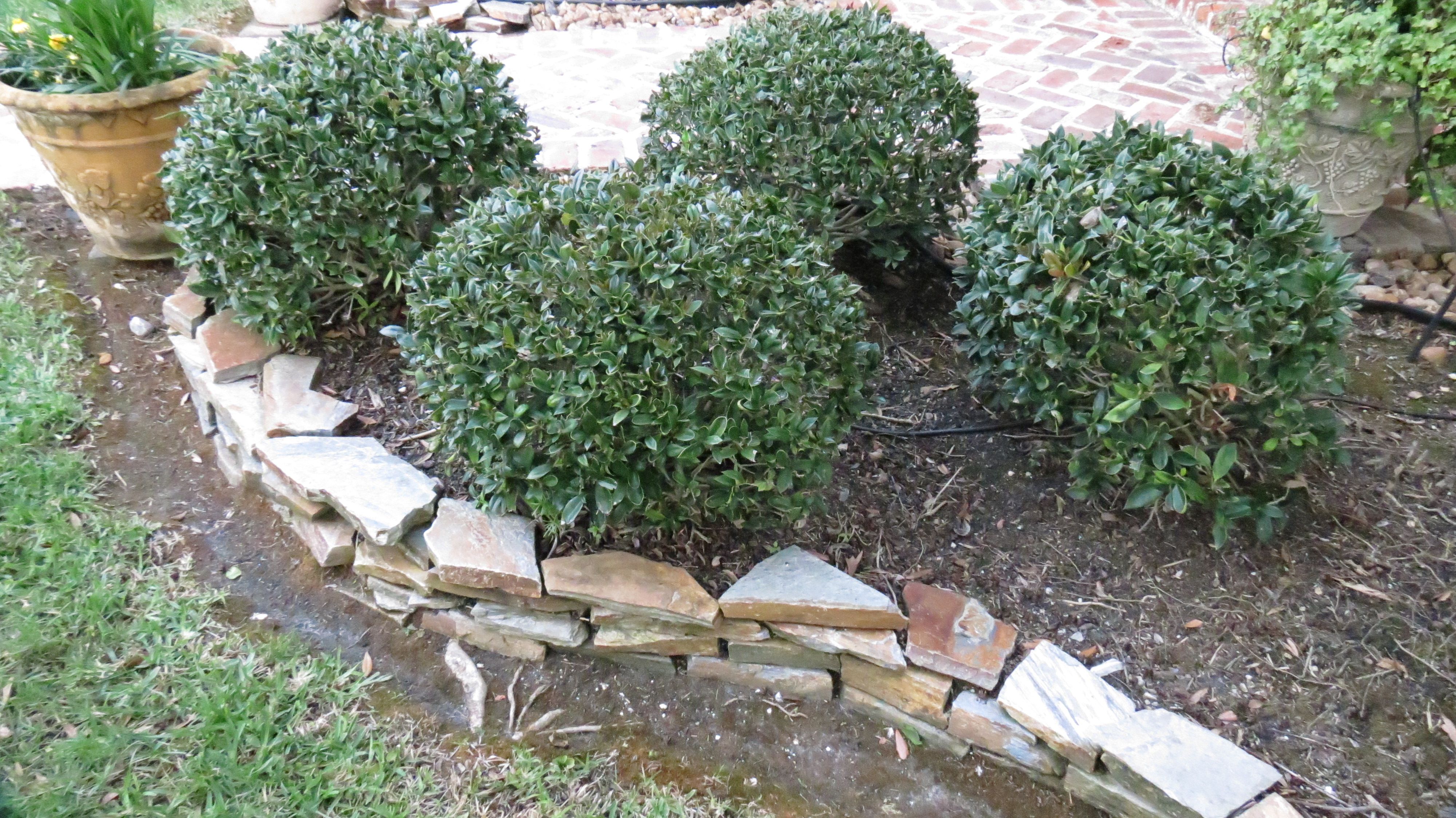 Number One Lawn Service in Beaumont, Texas