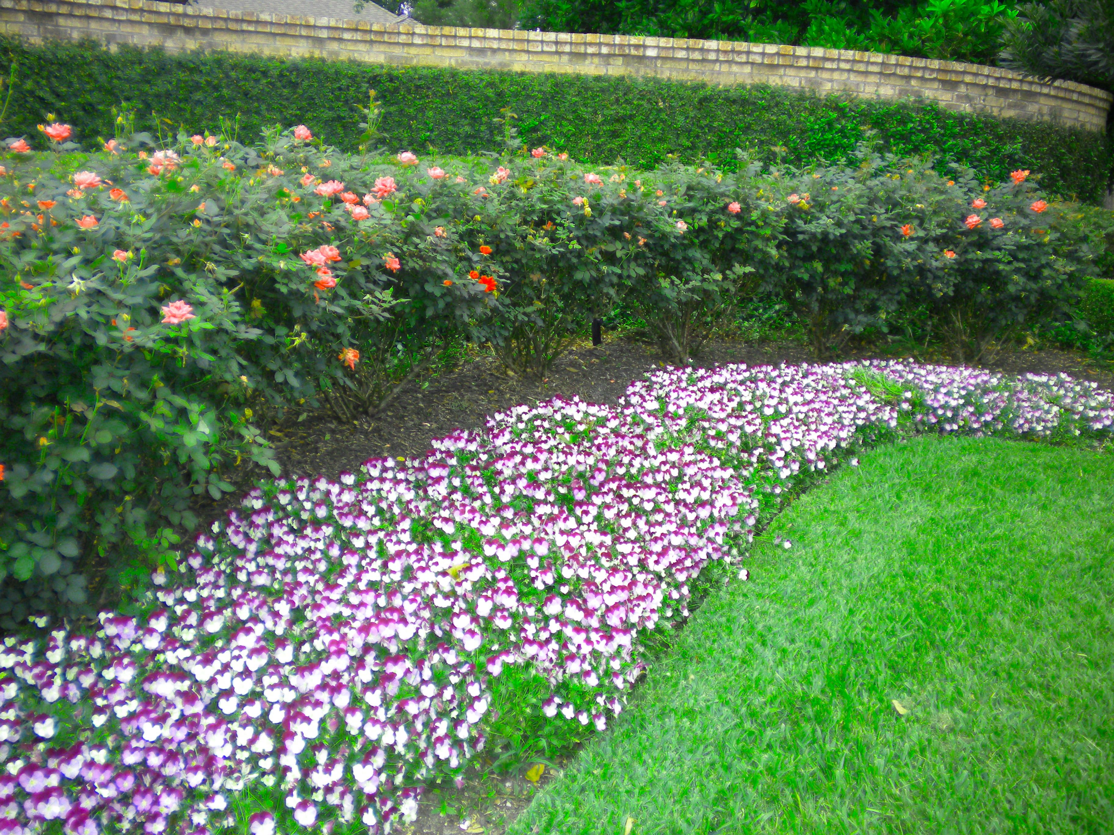 Landscaping in Beaumont, Texas by Number One Lawn Service in Beaumont