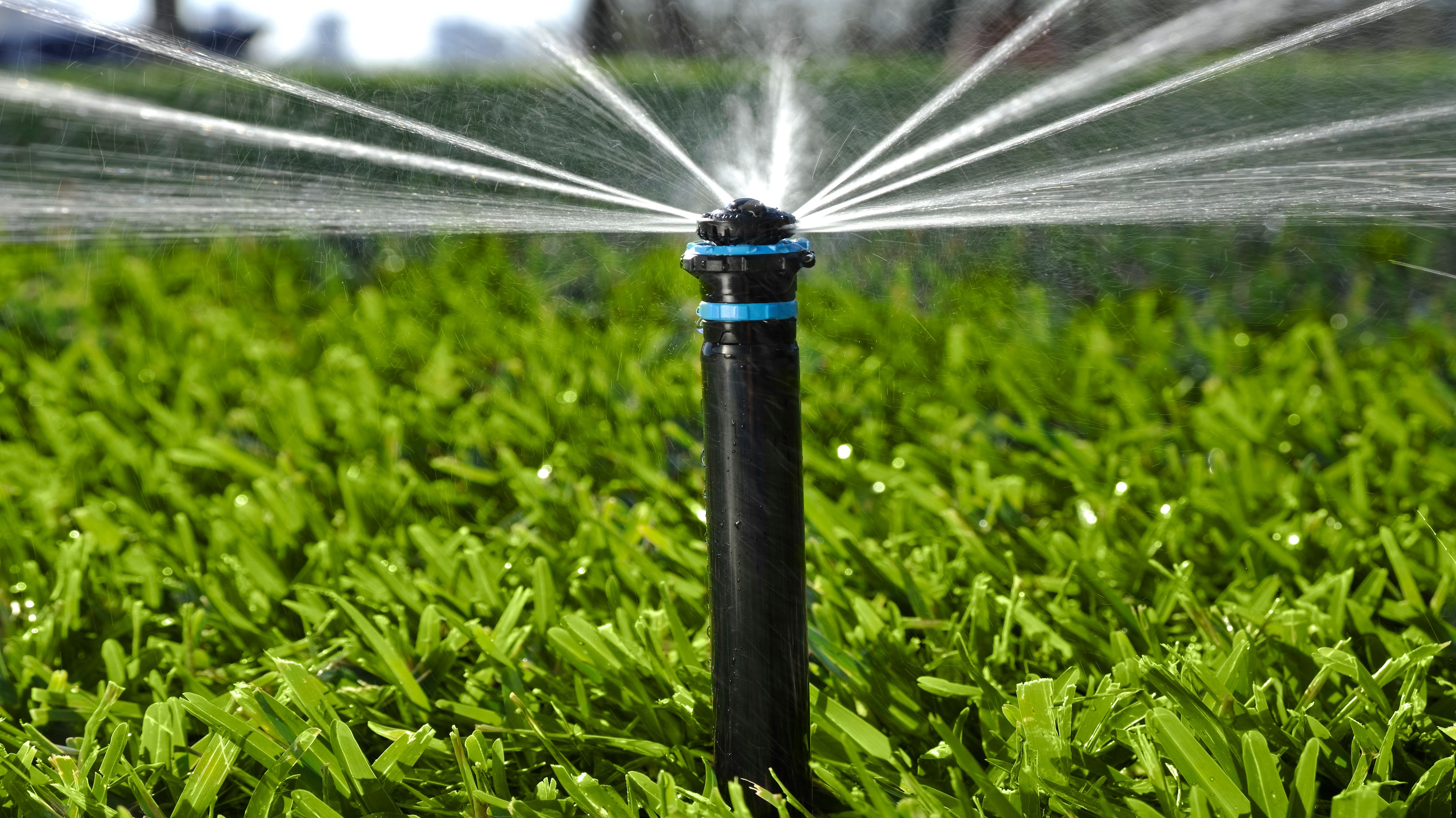 Irrigation and Sprinklers for Number One Lawn Service
